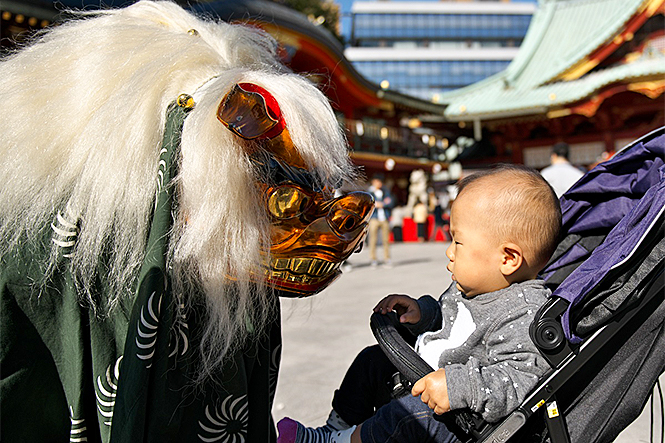 娘を連れて神田明神へ 獅子の舞を見ることができました。娘もはじめこそ興味をもって見ていたのですが この後は大泣きでした。