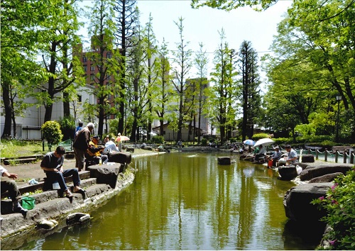 荒川区役所の隣にある荒川公園に小さな池があり休日になると大勢の太公望たちが集う。