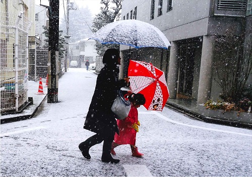 東京で初雪があった町内を行く親子の情景がとてもフォトジェニックでした。